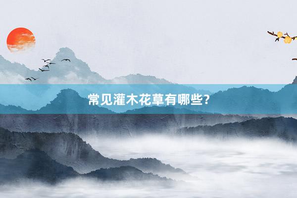 常见灌木花草有哪些?