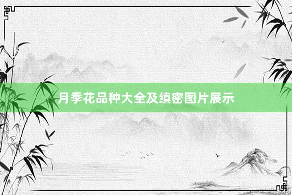 月季花品种大全及缜密图片展示