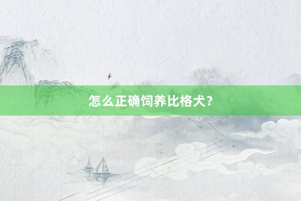怎么正确饲养比格犬？
