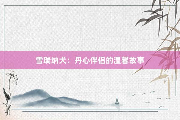 雪瑞纳犬：丹心伴侣的温馨故事